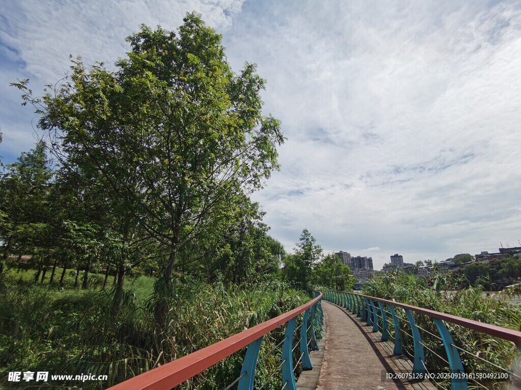 乡村彩桥旁的绿意风景