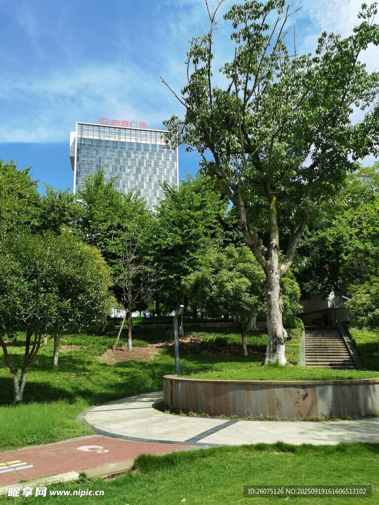 城市中的静谧绿色公园