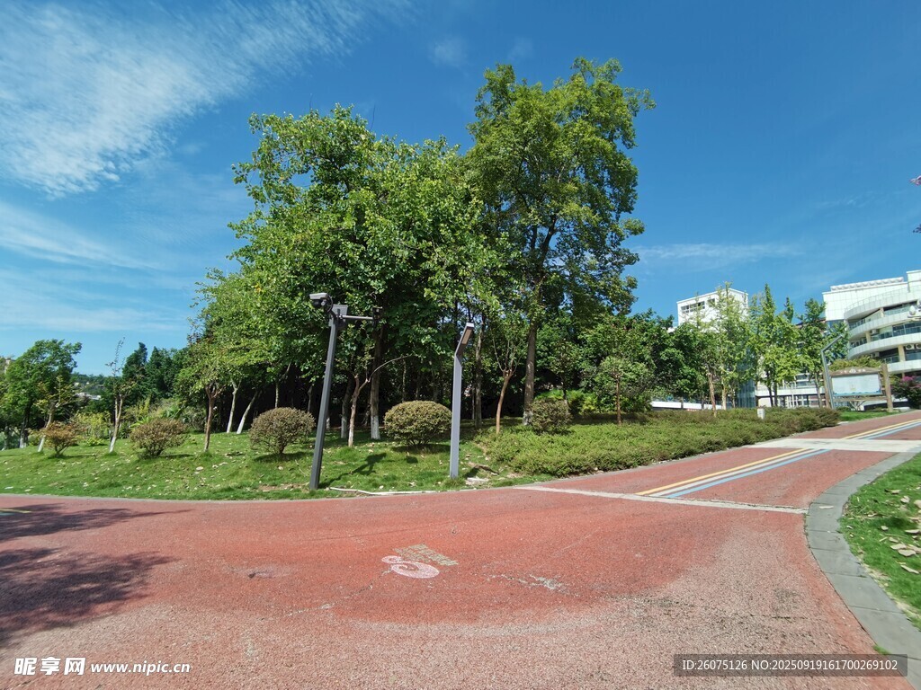 公园红色步道与绿树蓝天