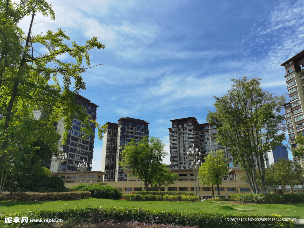 城市绿地旁的高楼景观