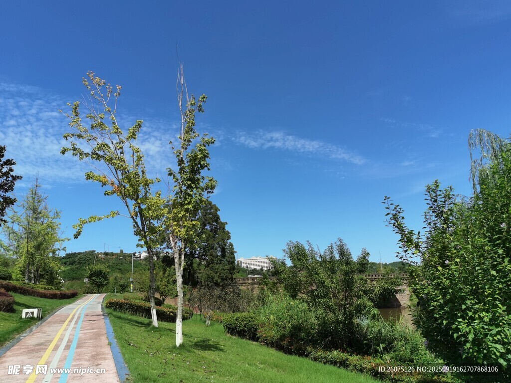 美丽户外风景小路
