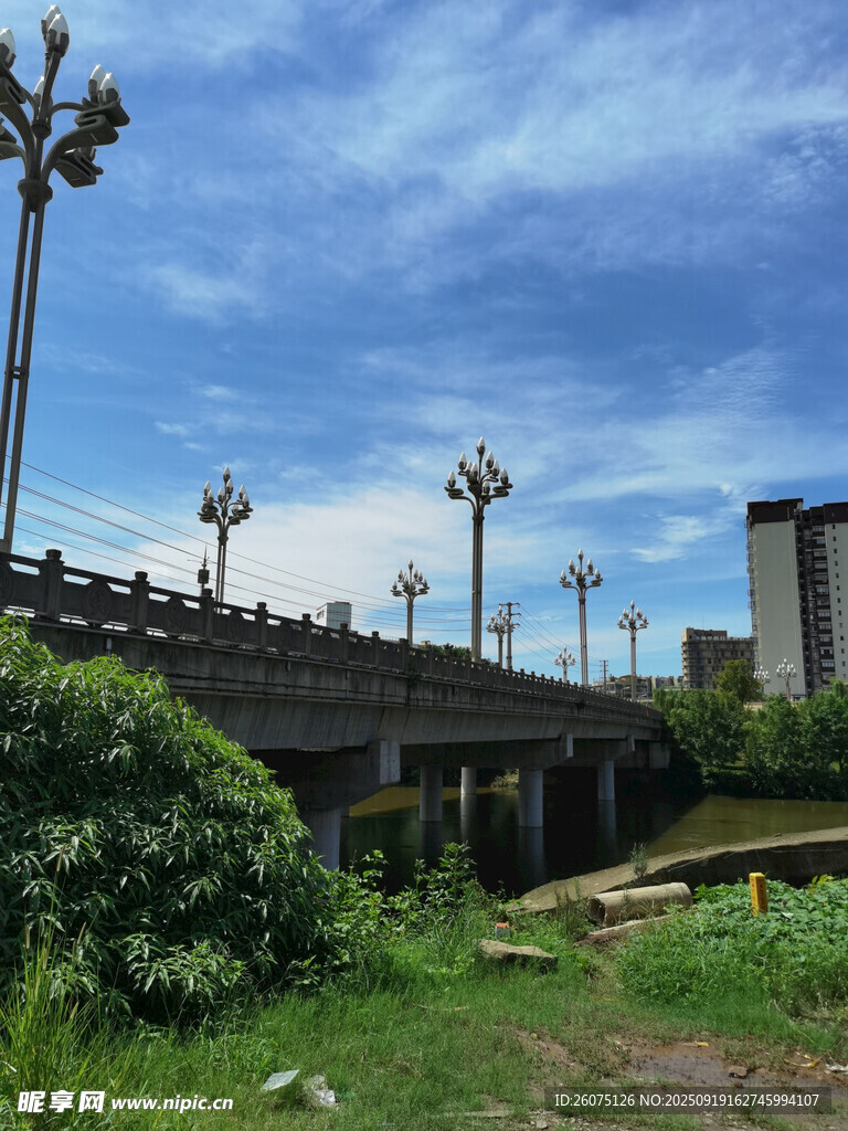 城市桥畔绿植与路灯景观