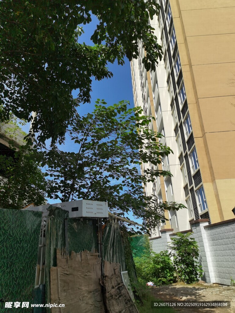 小区内的绿植与建筑景观