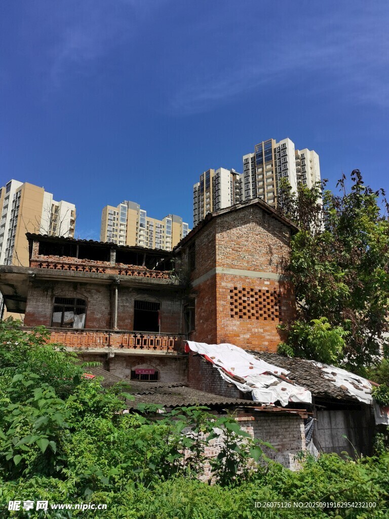 废弃楼房被绿植环绕