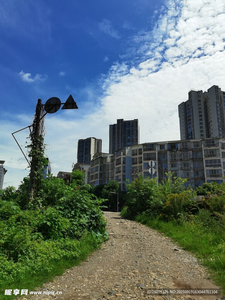 城郊小路旁的高楼与绿植