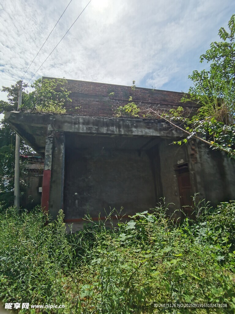 荒废小屋被杂草环绕