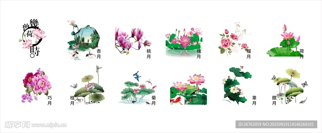 花卉