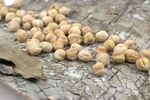 木面上散落的鹰嘴豆