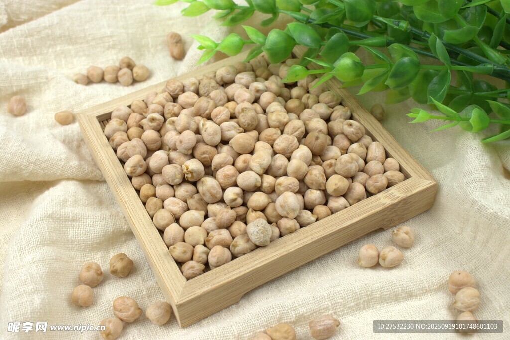 木盒中摆放的饱满鹰嘴豆