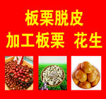 板栗