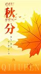 秋分时节金黄枫叶美景