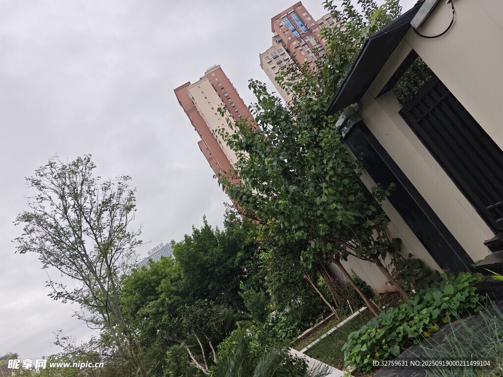 住宅旁繁茂绿植景观