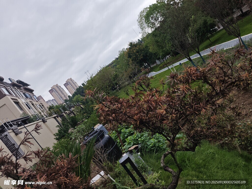 户外绿植景观