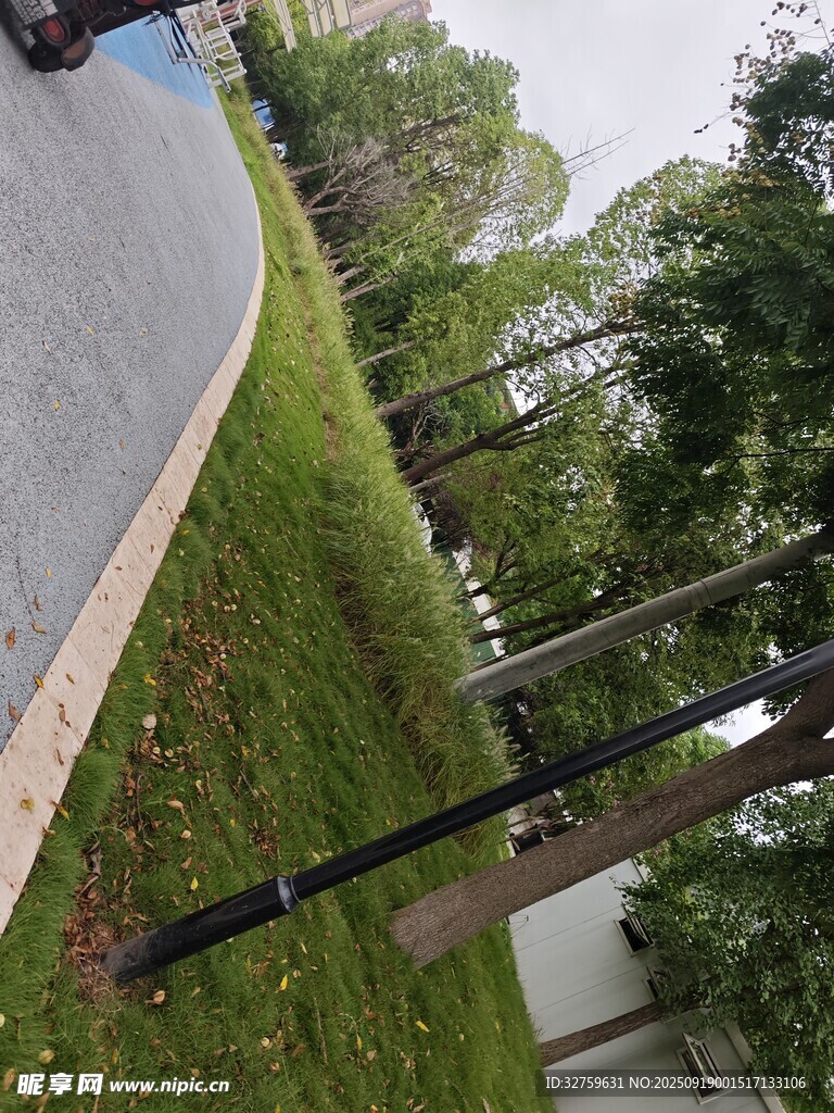路边绿植与标识牌景观