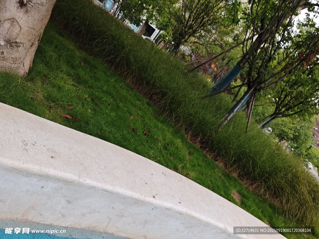 户外草地旁的石质边缘景观