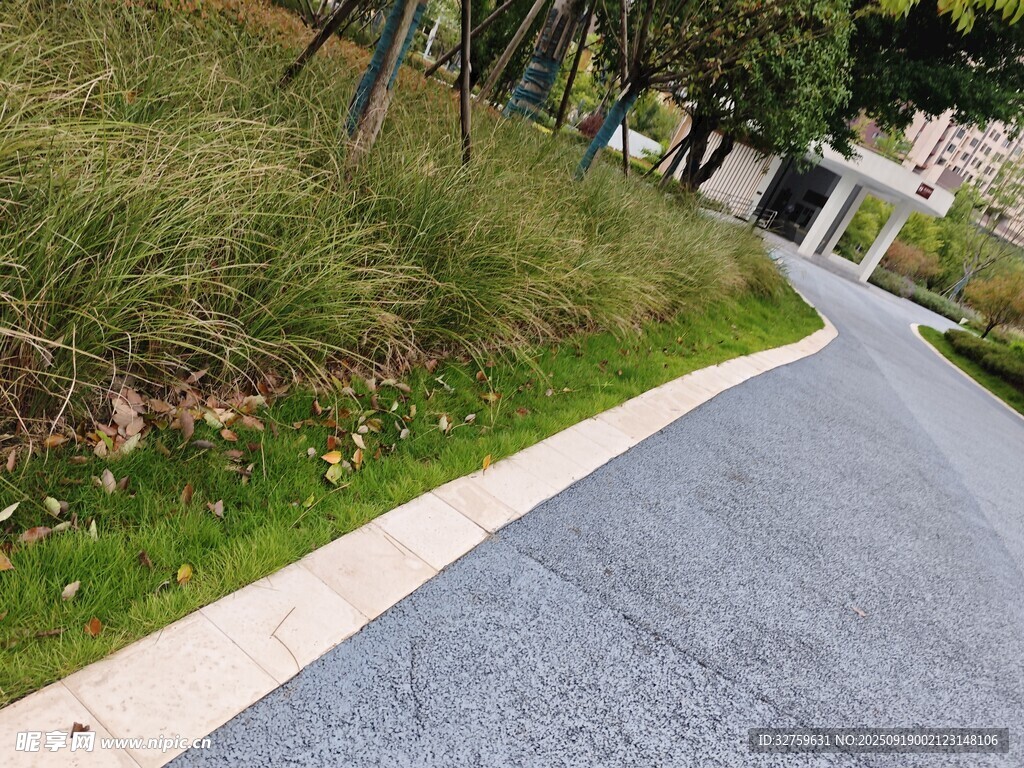 城市中的宁静柏油小路