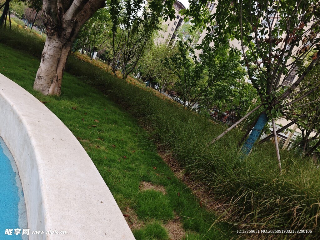 户外泳池旁的绿植景观