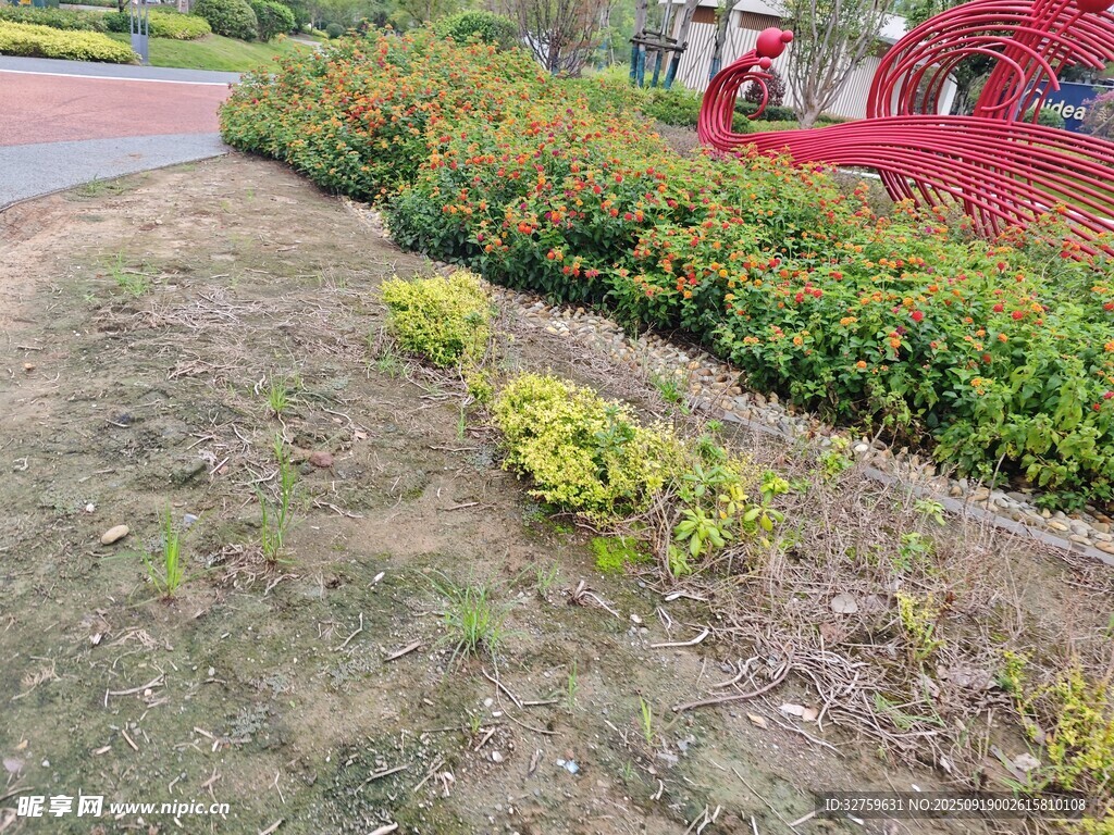 路边绿植景观