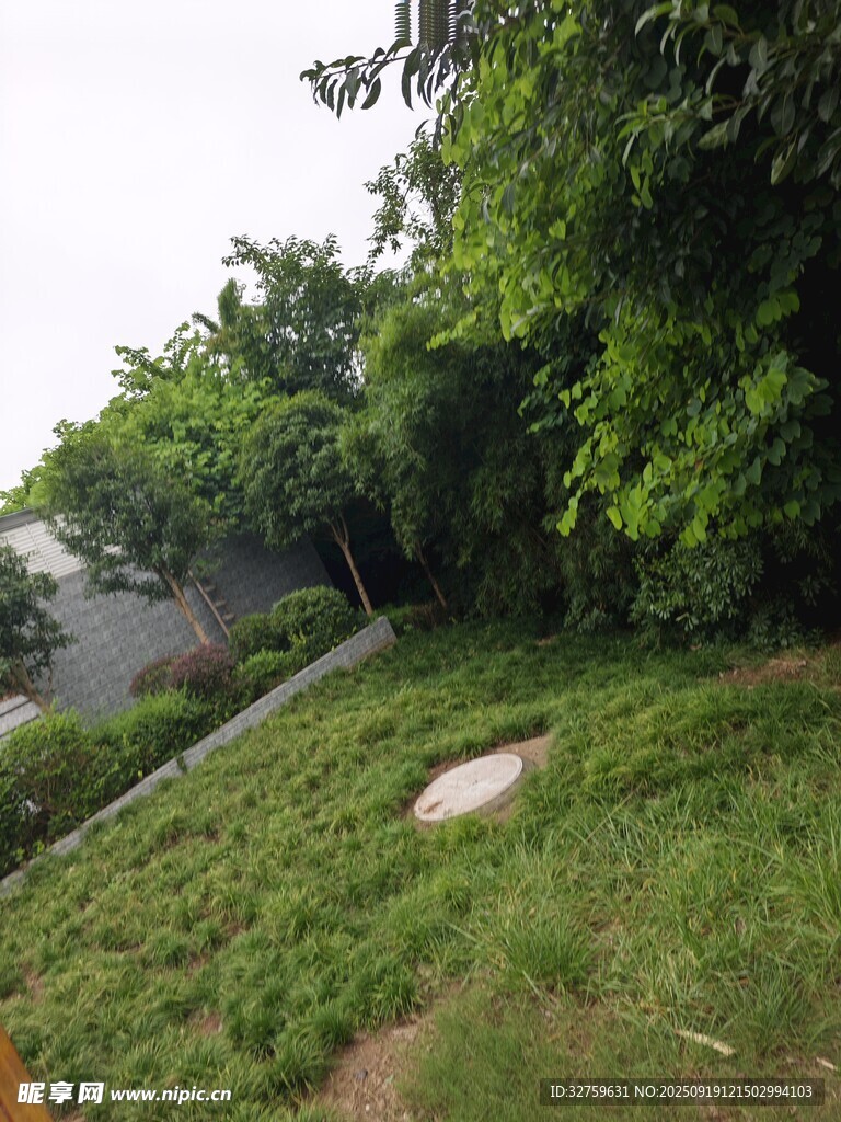 绿意盎然的户外草地景观