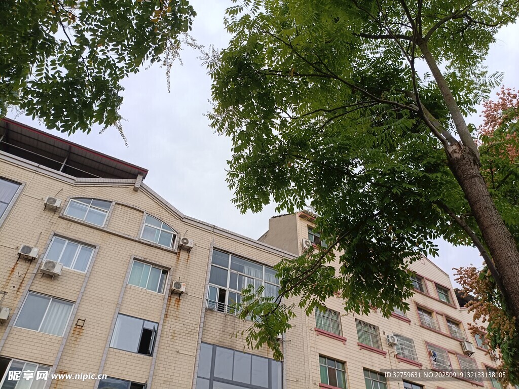多层住宅旁绿树成荫