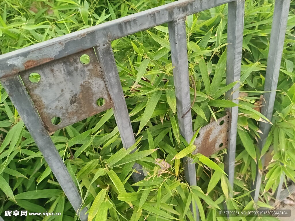 生锈铁栅栏旁的翠绿植物