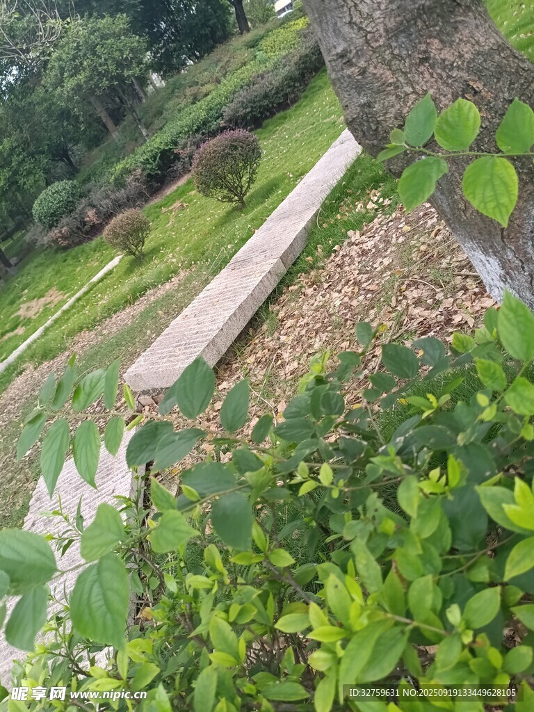 户外绿植旁的木质长条物