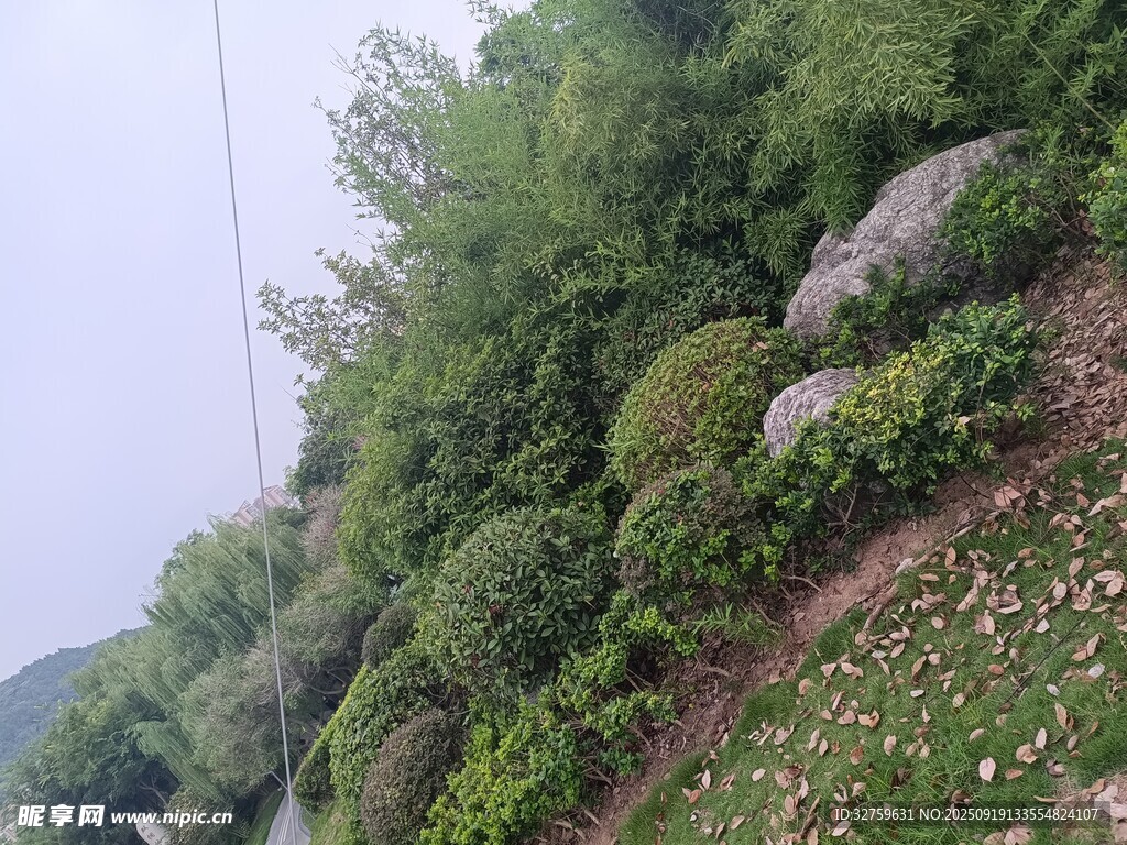山间绿植景观