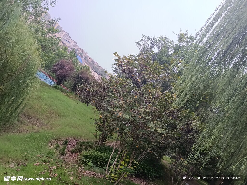 绿意盎然的户外植物景观