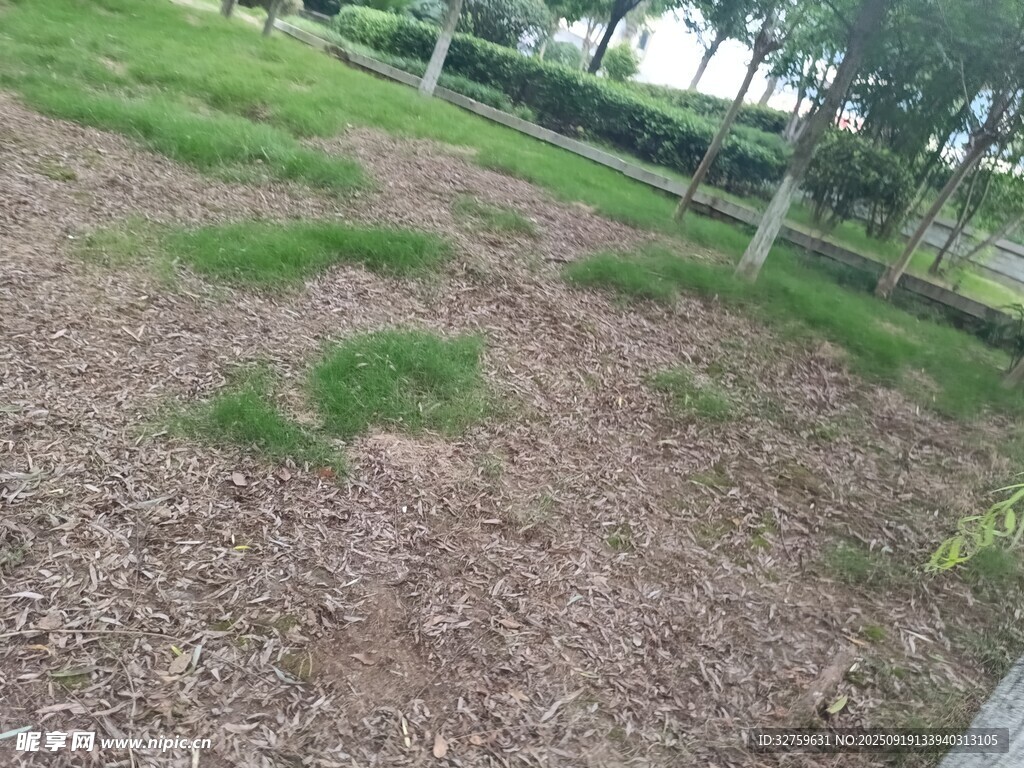 草地旁的木屑覆盖地面区域