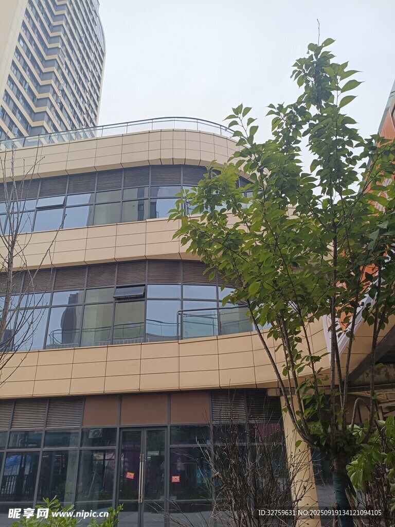 现代风格建筑与绿树相映