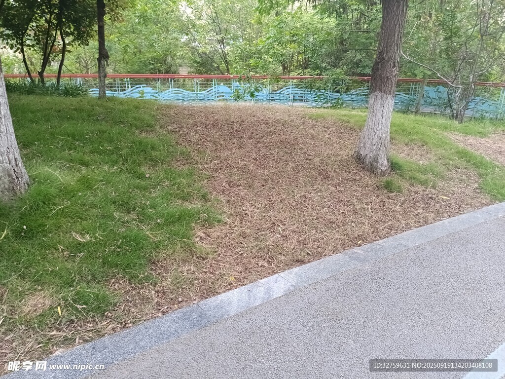 路边绿意盎然的自然景致