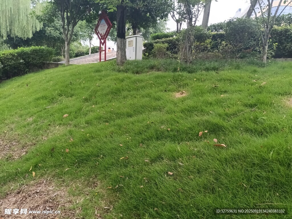 绿意盎然的户外草坪景观