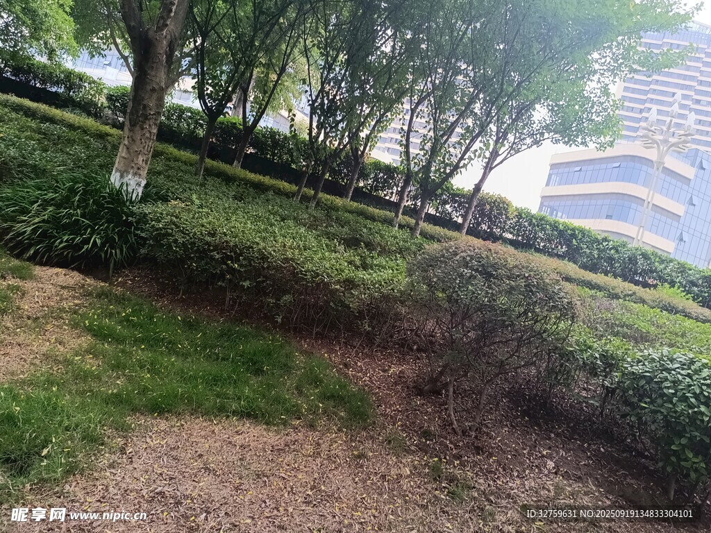 户外绿植景观一角