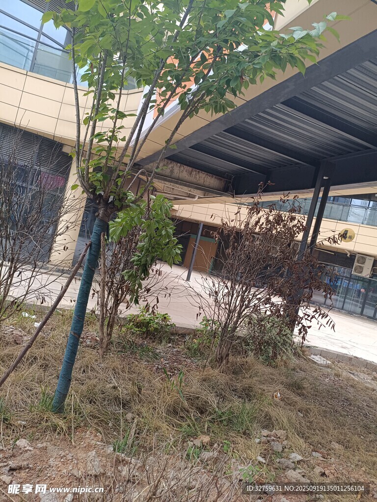 户外绿植与简易棚场景