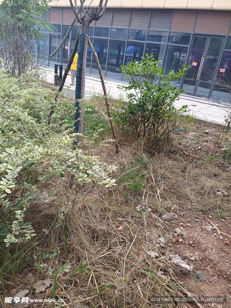 户外绿植旁的黑色标识杆