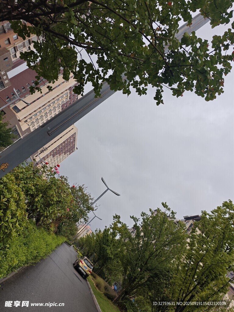城市树梢间的天空景致