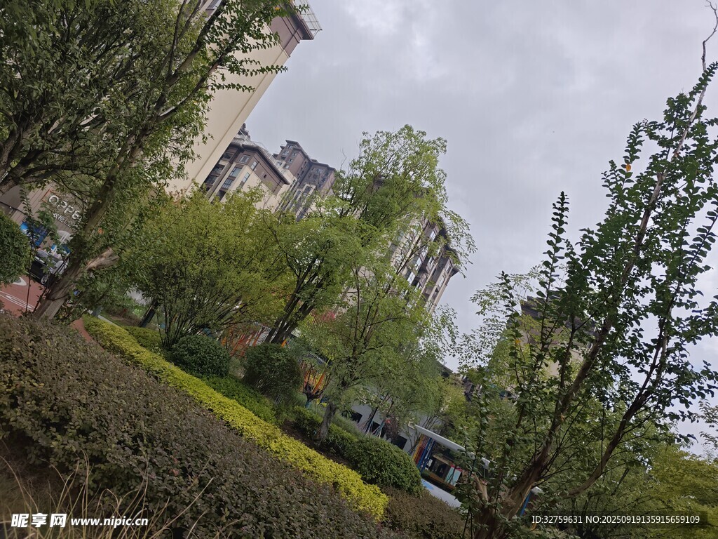 小区周边绿植景观