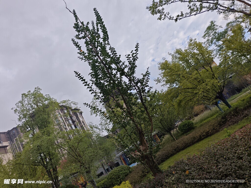 户外绿植景观