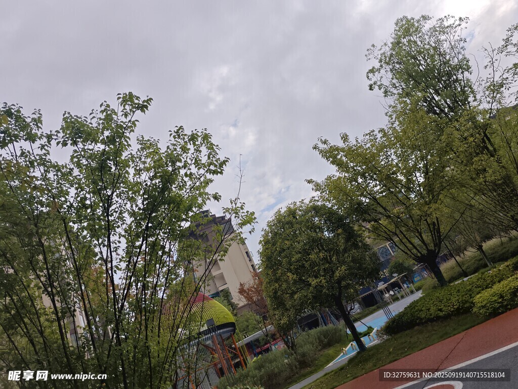 户外绿树环绕的休闲场景