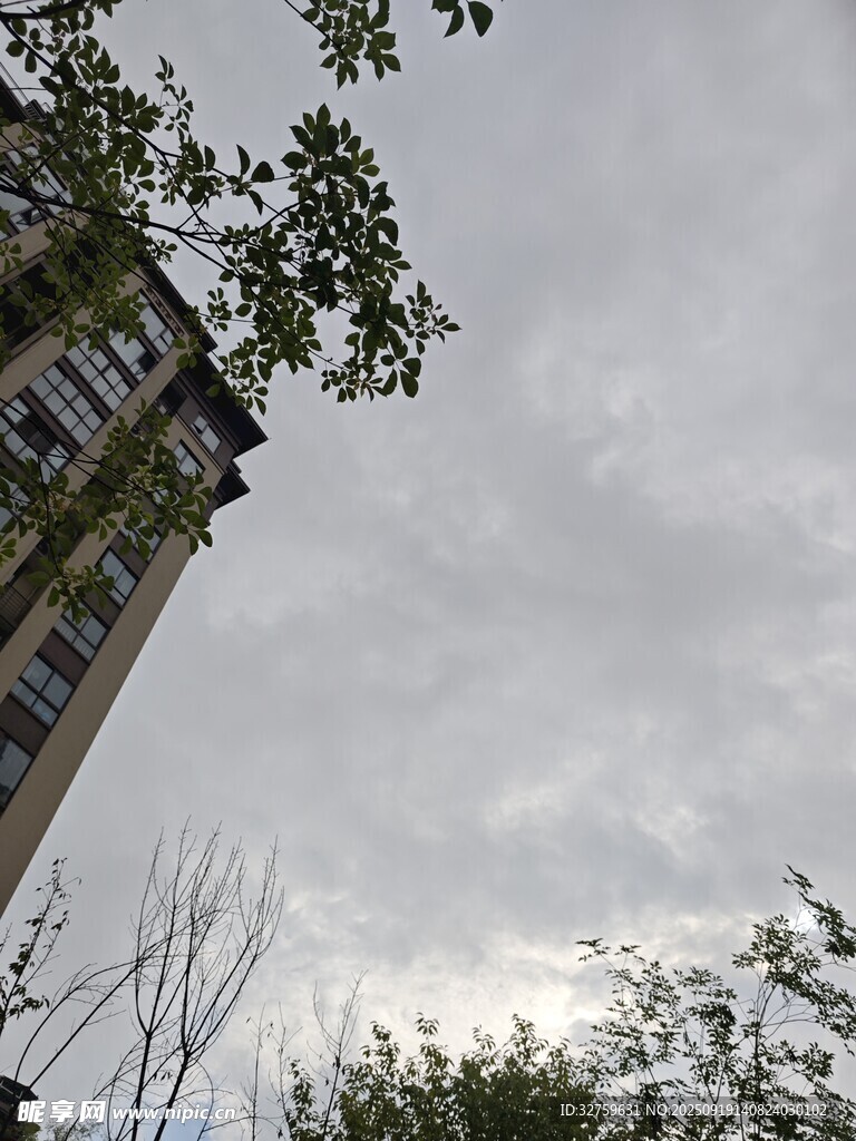 老旧建筑与天空绿植景象