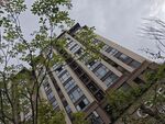 城市中绿树环绕的现代建筑