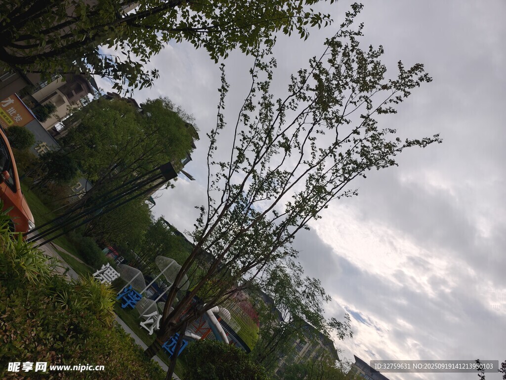 户外绿植景观
