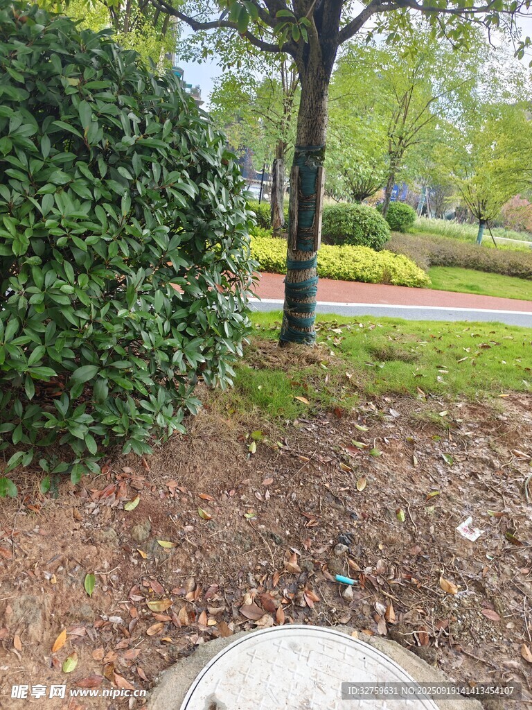 户外绿植景观一角