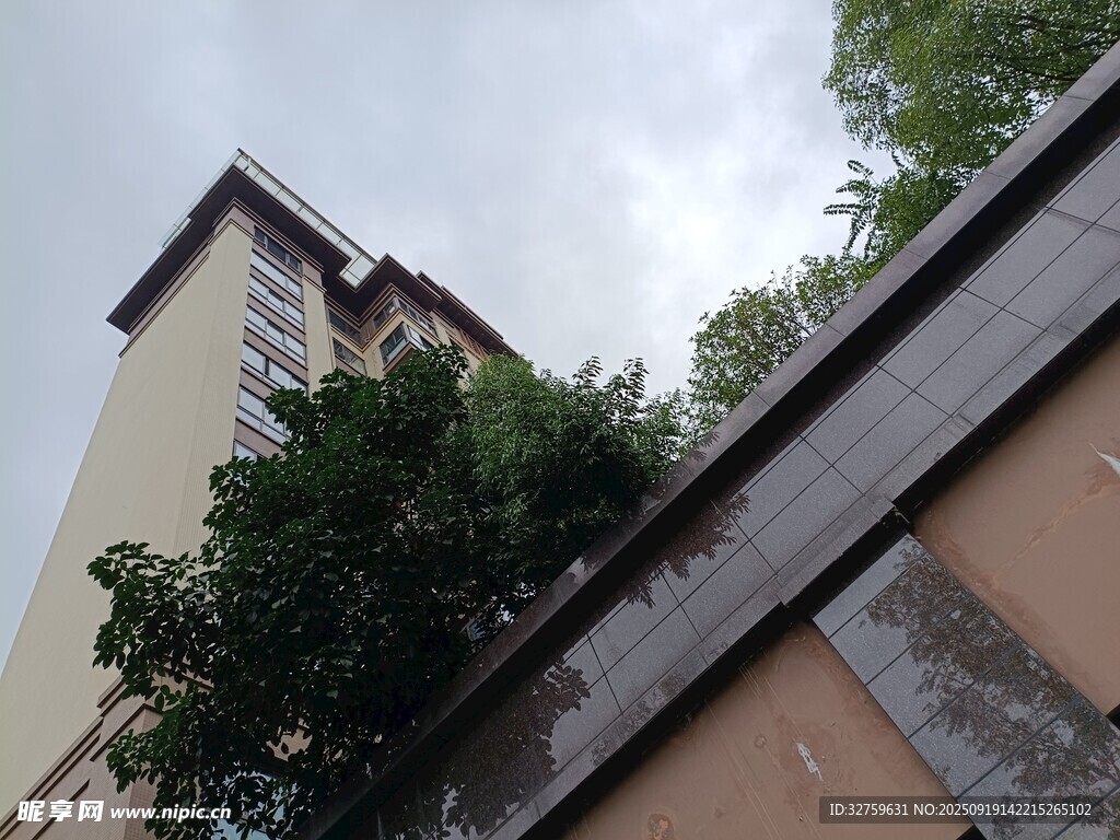 高楼旁的绿树与矮墙