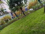 城市中绿意盎然的草地景观