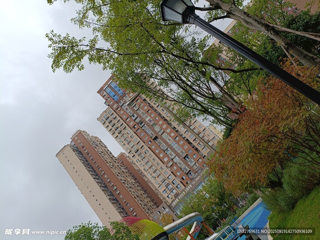 城市中高楼与绿植景观