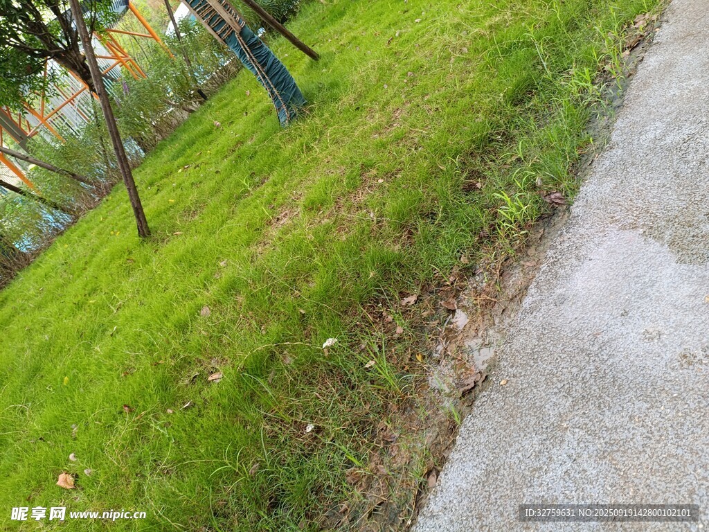 路边翠绿草地与健身设施