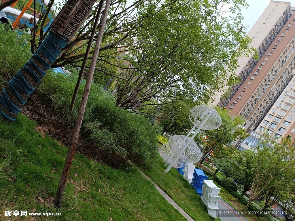 小区内的绿植与建筑景观