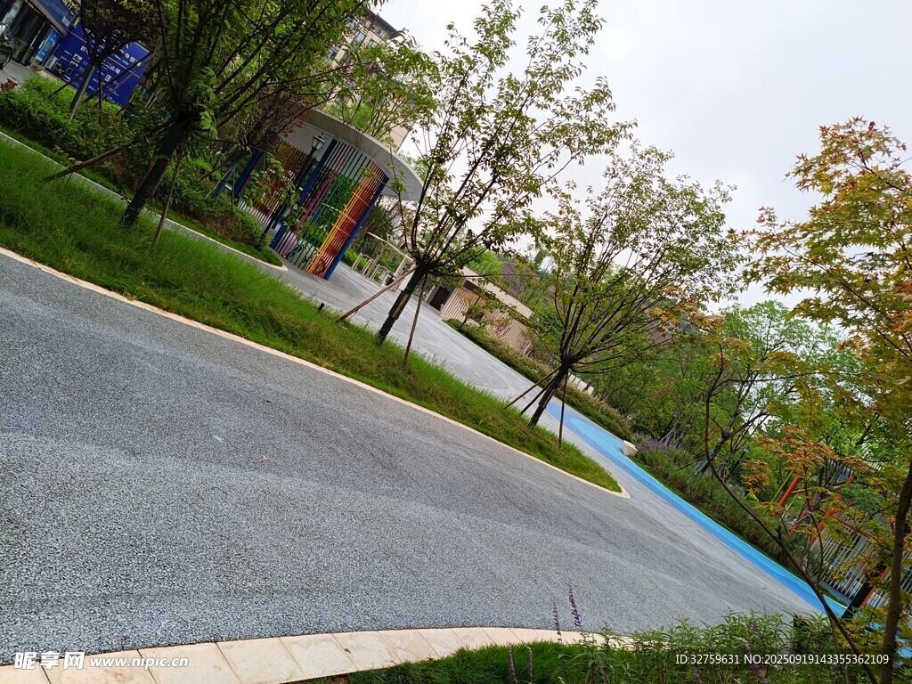 校园中的宽阔道路与绿植
