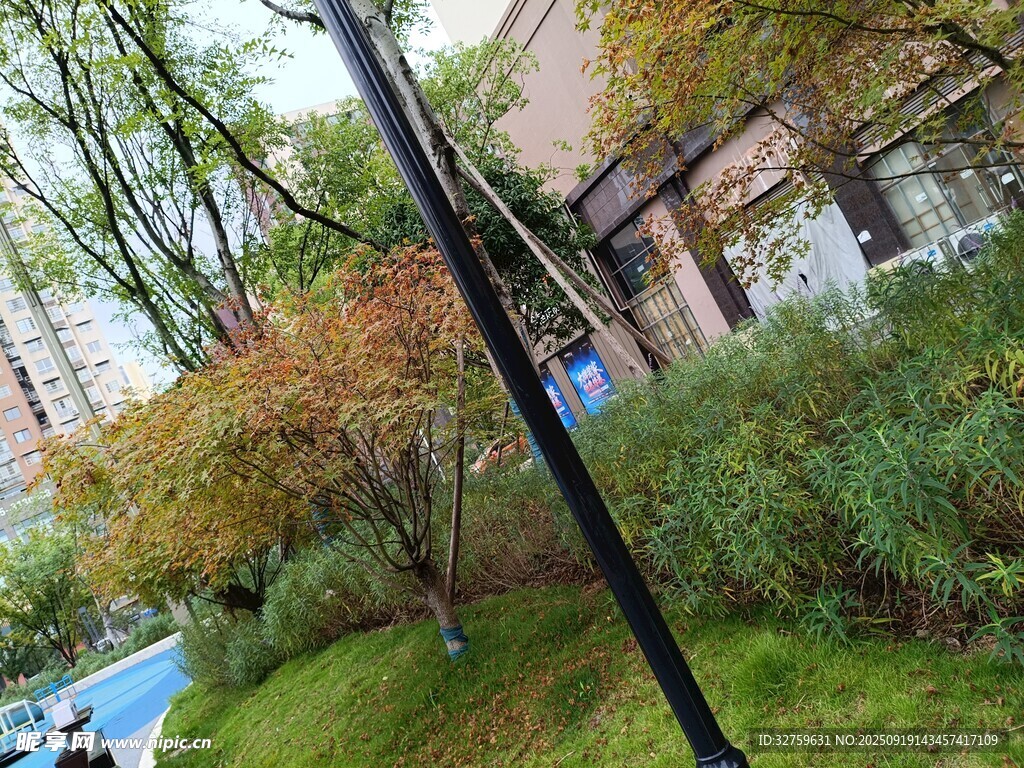 秋日街边绿植与建筑景致